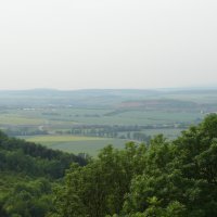 DSC03032